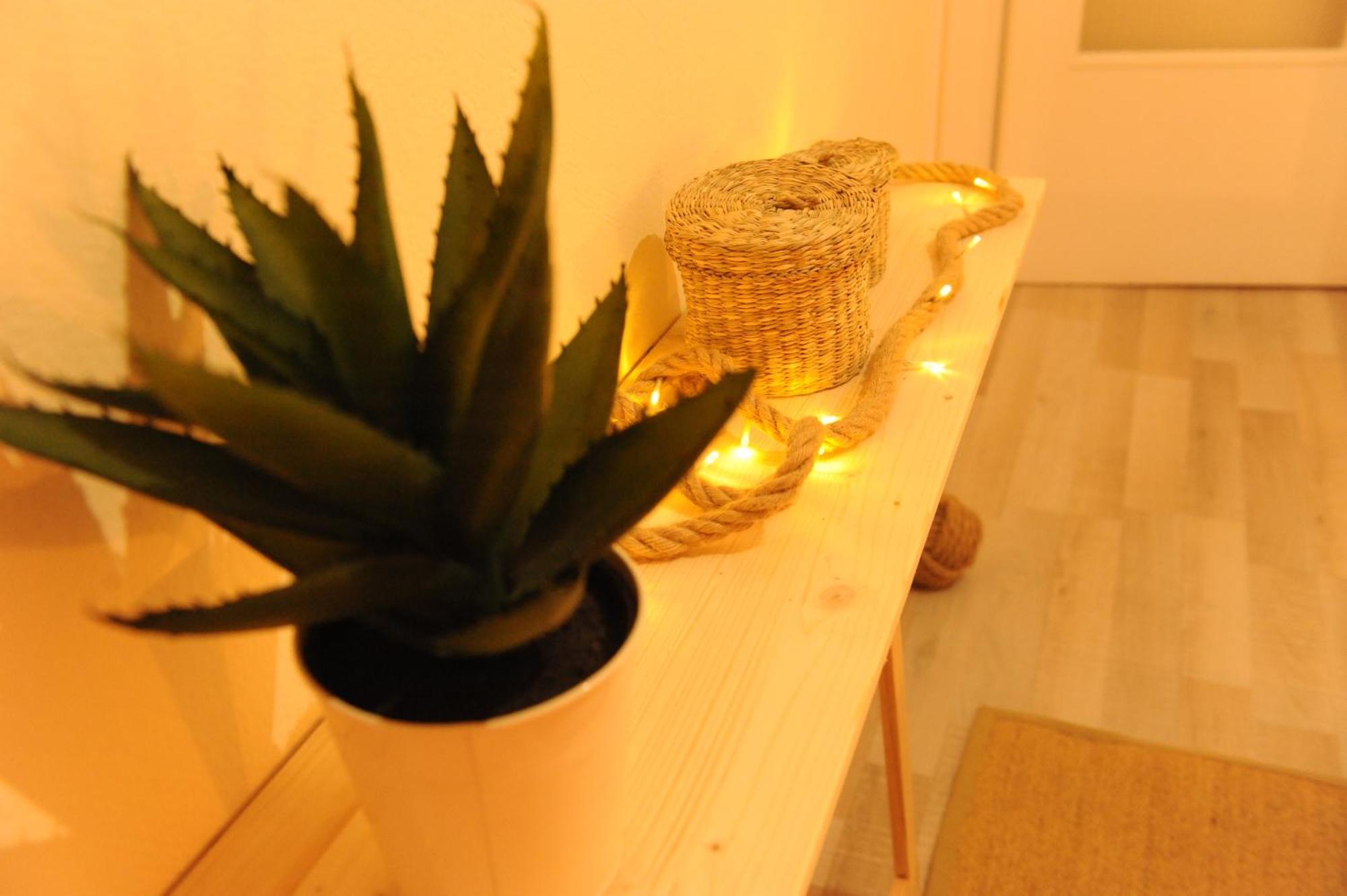 Delphic Moments - Sunny App 3Br, 2Ba With View Lägenhet Exteriör bild